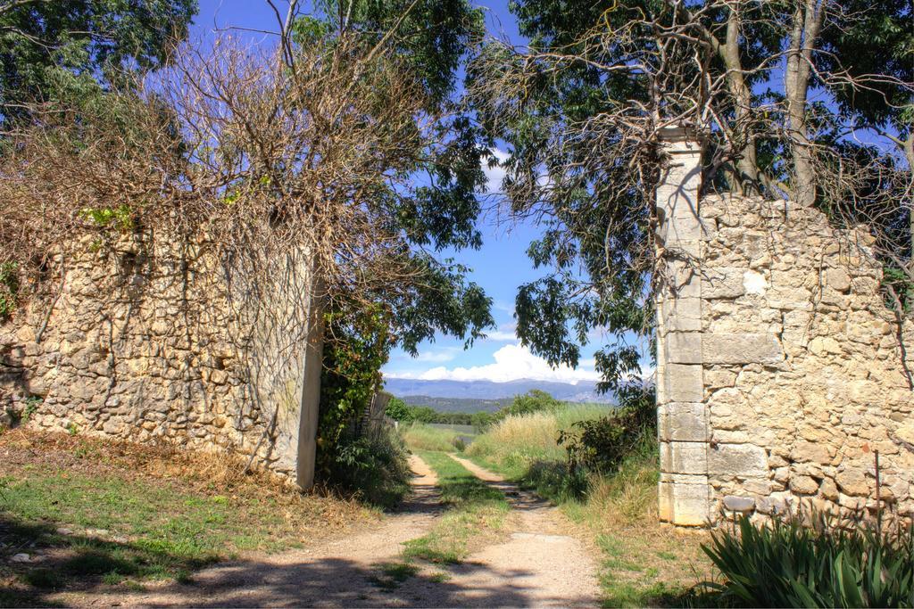 La Colombiere Du Chateau Saint-Laurent-du-Verdon Kültér fotó